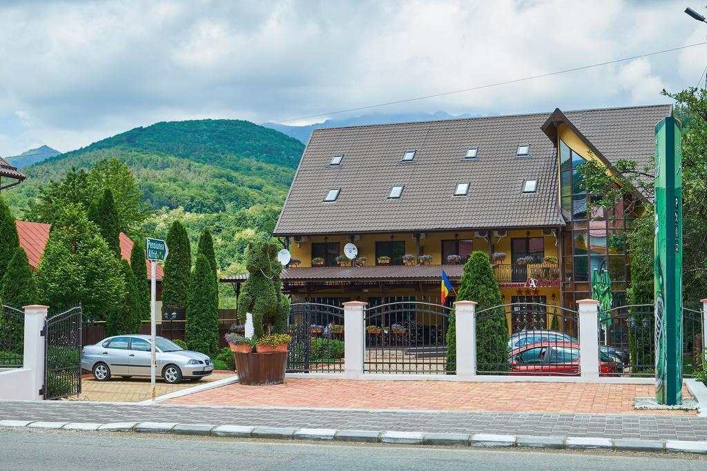 Pensiunea Alfrid Călimăneşti Bagian luar foto